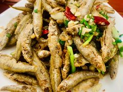 -品雅轩农家乐