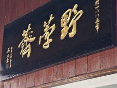 -野荸荠
