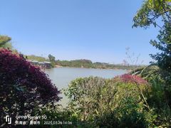 -洛龙公园