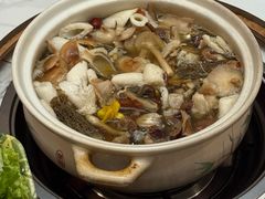 -原林野山菌火锅·炒菌(关上野生菌一条街店)