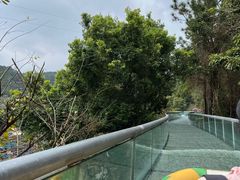 -广东天露山旅游度假区