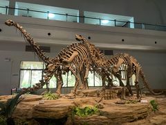 -自贡恐龙博物馆