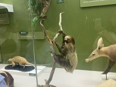 -国家自然博物馆