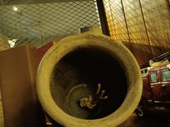 -湘当爱·鲜煮现炒(松岗立业路店)