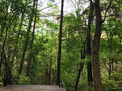 -萨尔浒风景区