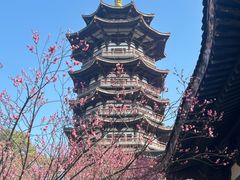 -洋湖国家湿地公园
