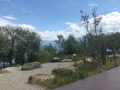 -西昌邛海湿地