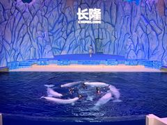 -珠海长隆海洋王国