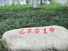 -沙市市中山公园