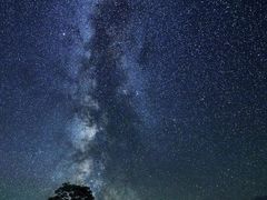 -花小小新疆炒米粉·小锅现炒(灯市口店)