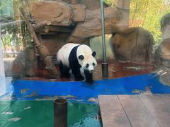-成都动物园