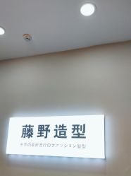 点击看大图 -藤野造型