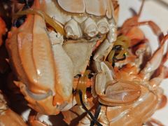 -聚盛源蒸汽海鲜火锅烤肉自助(巨川金海岸购物广场店)