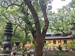 -普陀山风景名胜区-法雨禅寺