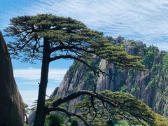 -黄山风景区