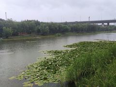 -门城湖公园