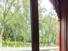 -皇家御河游(紫御湾码头)