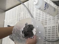 -北京观赏动物医院·24小时大型综合·猫专科·异宠专科
