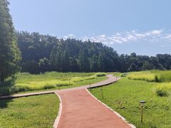 -棒棰岛宾馆景区