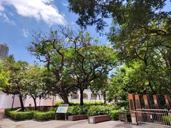 -九龙公园
