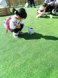 -萌宠亲子动物乐园(槐房万达店)