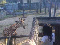 -清迈夜间动物园