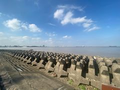-上海滨江森林公园