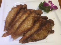 -金穗园·砂锅粥.醉鸡煲火锅(长寿路店)