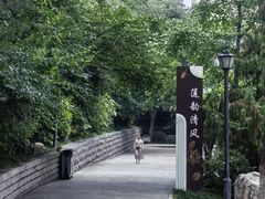 -莲湖公园