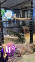 -酷嗒动物文化乐园(cutezoo西溪乐天城店)