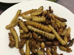 柴虫-昆虫窝子·特色云南菜(拓东路总店)