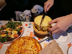 -百好乐宠物友好餐厅(朝外大街店)