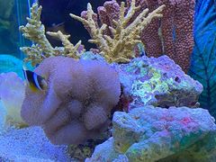 -上海海洋水族馆