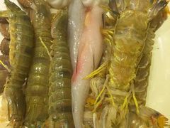 -蒙肥羊·酸汤潮牛·鲜牛肉火锅烤肉自助(岗顶店)