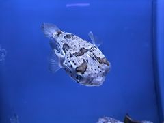 -石家庄市动物园