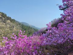 -青岛大珠山景区