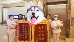 -大美母婴月子中心