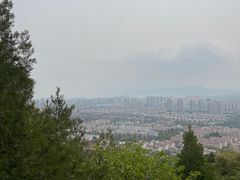 -府君山公园