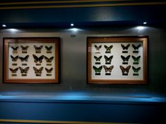 -上海昆虫博物馆