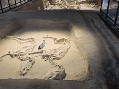 -洛阳周王城天子驾六博物馆