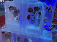 -雪山彩虹谷景区