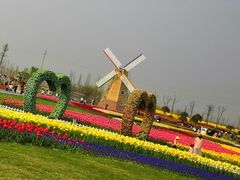 -南通鲜花小镇