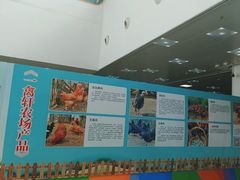 -佛山科学馆
