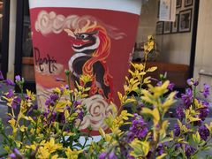 -Peet's Coffee皮爷咖啡(大学路店)