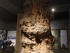 -乐山乌木文化博览苑