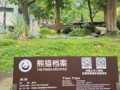 -都江堰中华大熊猫苑