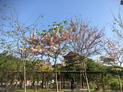 -广州莲花山旅游区