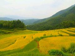 -牛鱼嘴原始生态风景区
