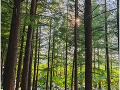 -云龙湖旅游景区