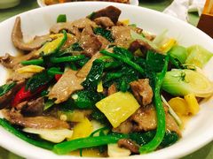 -曾牛肉